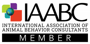 iaabc member generic